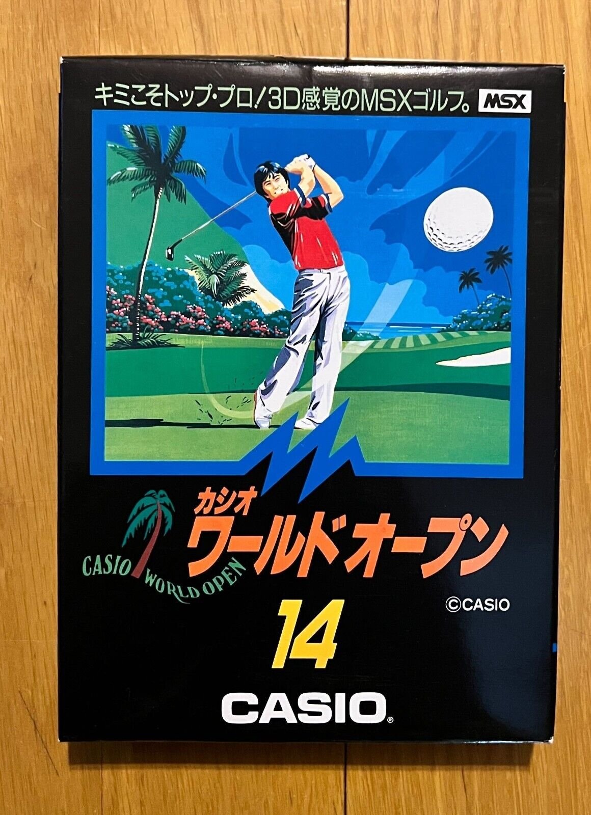 ⛳ 고치 쿠로시오 컨트리 클럽 (코치 쿠로시오 칸토리-쿠라부) 이미지 4